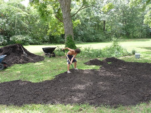 Mulching Pecans with Compost Watkinsville 006 Medium Web view.jpg